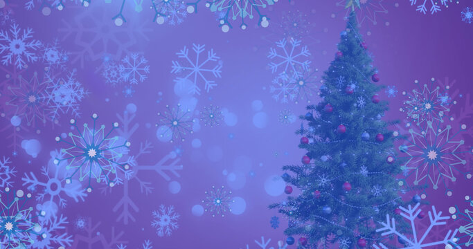 Image of snow falling over christmas tree in winter scenery