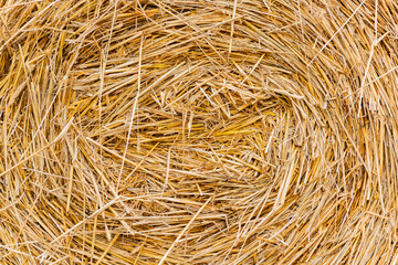 Stack dry hay. Hay texture. Hay bale is stacked in large stack. rural autumn with hay. straw summer background. haystack straw prepared for farm. Haystack preservation