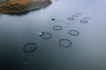 Aerial shot of Fish farm pens for Salmon. Oban Scotland.