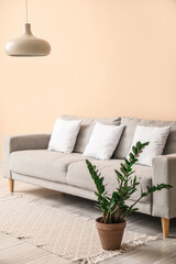 Grey sofa with white pillows near beige wall