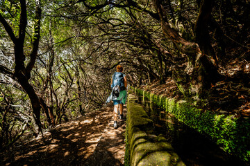 Obraz premium View of a female hiker walking along a Levada, a typical water channel, in a tree tunnel forming forest, Levada das 25 Fontes, Madeira, Portugal