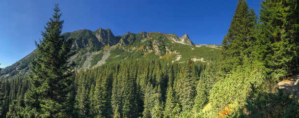 Mountain landscape in National Park Retezat, Romania. Panoramic view. © paulmalaianu