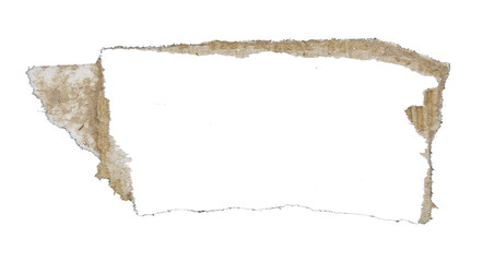 Torn pieces of corrugated paper used as label on transparent background png file