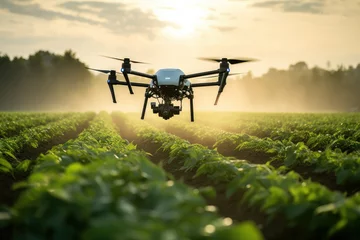 Foto op Plexiglas Innovative aerial capture Drone flying over meadow reveals stunning farm scenery. AI Generative magic enhances this technology-driven perspective. © Alisa