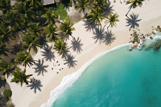 A breathtaking aerial view of a palm-fringed beach, where the sea meets the sand. AI Generative coastal serenity from above.
