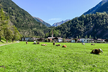 L&auml;ngenfeld, Dorf, Kirche, Oberl&auml;ngenfeld, &Ouml;tztal, S&ouml;lden, Tirol, Felder, K&uuml;he, Landwirtschaft, Wanderweg, Fischbach, Sommer, Herbst, &Ouml;sterreich