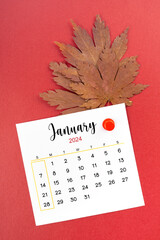 January 2024 calendar page and autumn maple leaf with thumbtack.