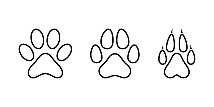 Set of animal paw prints. Paw prints icon. Vector paw prints. Dog, puppy, cat, bear, wolf. Legs. Animal Footprints icon.