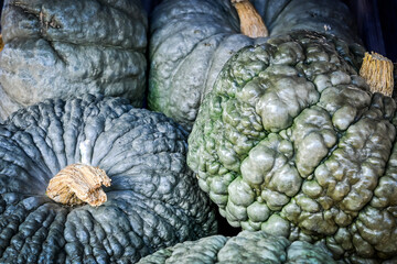 Kürbis, Buen Gusto de Horno, Cucurbita Maxima, Speisekürbis, Kürbisernte, Kürbisrezepte, Herbstmarkt, Herbstfest, Herbst, Baselland, Schweiz