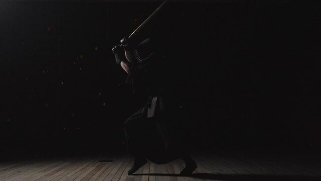 Kendoka Practicing With Descending Fire Sparks