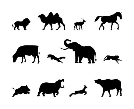 Animals silhouette vector icons. Isolated animal silhouettes lion, camel, gazelle, horse and more on a white background.