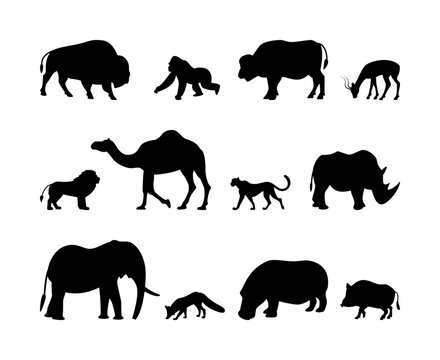 Animals silhouette vector icons. Isolated animal silhouettes gorilla, buffalo, gazelle, lion and more on a white background.