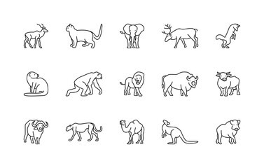 Animals linear vector icons. Isolated outline of animals gazelle, cat, elephant, deer and more on a white background. Vector animals symbol set.