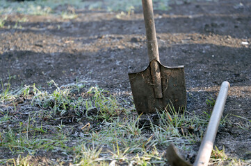 shovel in the garden