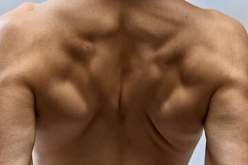 Fototapeta premium Cropped close up photo of muscles of young handsome man, male model posing shirtless isolated over grey studio background. Muscular build back.