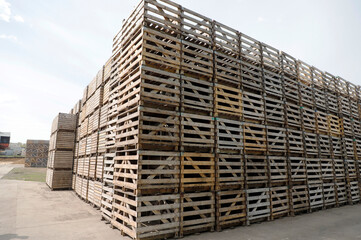 stacks of pallets