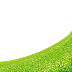 Mountain of flowers in summer