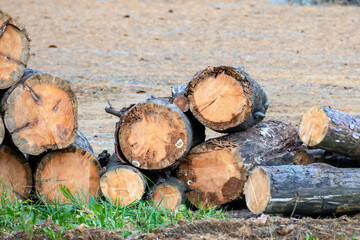 Old wooden logs are piled up on an autumn day