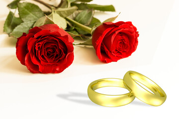 Hochzeit: Ehe-Ringe und rote Rosen