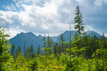 Scenic views from the heart of the Tatra Mountains, featuring the enchanting Polana Rusinowa, the picturesque Gęsia Szyja, and the breathtaking Hala Gąsienicowa. Explore the serene beauty. © Tomasz
