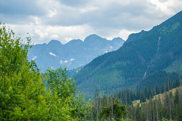 Scenic views from the heart of the Tatra Mountains, featuring the enchanting Polana Rusinowa, the picturesque Gęsia Szyja, and the breathtaking Hala Gąsienicowa. Explore the serene beauty. © Tomasz