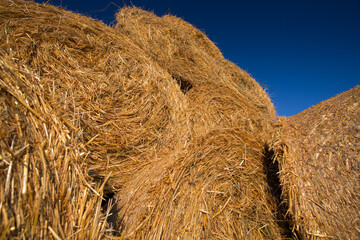 Piled hay bales on a field against blue sky