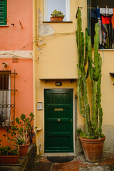 Fototapeta na wymiar A yellow wall with a green door, a mailbox and flowers and a large cactus in pots. A narrow street in Europe