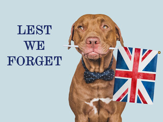 Lest We Forget. Lovable dog and UK Flag