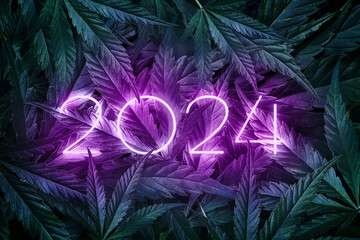 Inscription 2024 in neon on a green background of marijuana leaves. Purple New Year numbers on a backdrop made of natural cannabis. New Year banner for CBD - obrazy, fototapety, plakaty