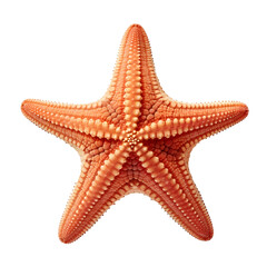  Star fish on transparent background cutout - Generative AI