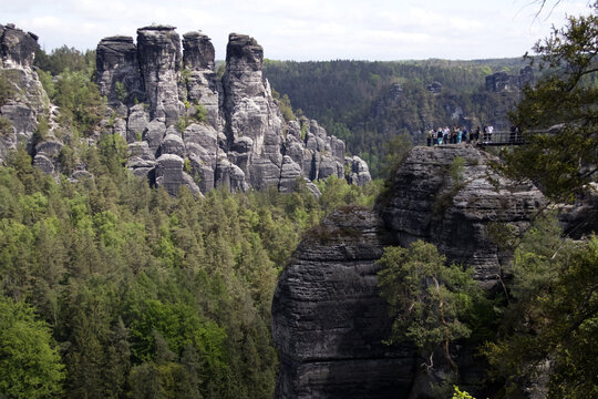 A rocky cliff peeks out from a coniferous forest in the German national park Saxon Switzerland