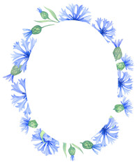 Fototapeta na wymiar Frame with cornflower flowers. Watercolor illustration with blue flowers. Vintage square frame with herbs, flowers and leaves
