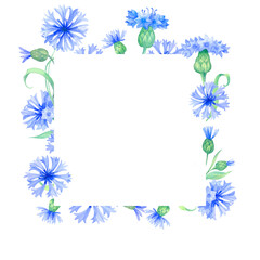 Frame with cornflower flowers. Watercolor illustration with blue flowersm Vintage square frame with herbs, flowers and leaves