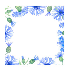 Frame with cornflower flowers. Watercolor illustration with blue flowersm Vintage square frame with herbs, flowers and leaves