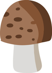 Cottagecore Mushroom Magic