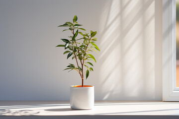 Generative AI Image of Decorative Plant with Green Foliage on White Wall Background