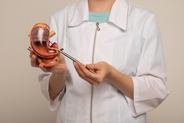 woman doctor pointing at stomach mockup