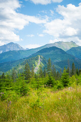 Scenic views from the heart of the Tatra Mountains, featuring the enchanting Polana Rusinowa, the picturesque Gęsia Szyja, and the breathtaking Hala Gąsienicowa. Explore the serene beauty. © Tomasz