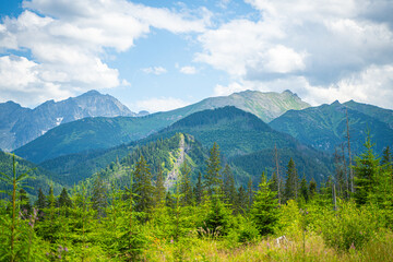 Scenic views from the heart of the Tatra Mountains, featuring the enchanting Polana Rusinowa, the picturesque Gęsia Szyja, and the breathtaking Hala Gąsienicowa. Explore the serene beauty. © Tomasz