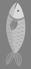 gray fish on a gray background