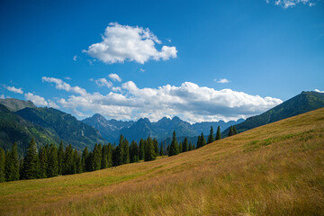 Scenic views from the heart of the Tatra Mountains, featuring the enchanting Polana Rusinowa, the picturesque Gęsia Szyja, and the breathtaking Hala Gąsienicowa. Explore the serene beauty. © Tomasz