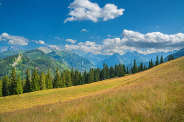 Scenic views from the heart of the Tatra Mountains, featuring the enchanting Polana Rusinowa, the picturesque Gęsia Szyja, and the breathtaking Hala Gąsienicowa. Explore the serene beauty. © Tomasz