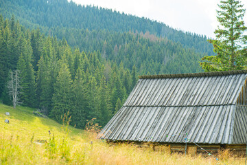 Scenic views from the heart of the Tatra Mountains, featuring the enchanting Polana Rusinowa, the picturesque Gęsia Szyja, and the breathtaking Hala Gąsienicowa. Explore the serene beauty. © Tomasz