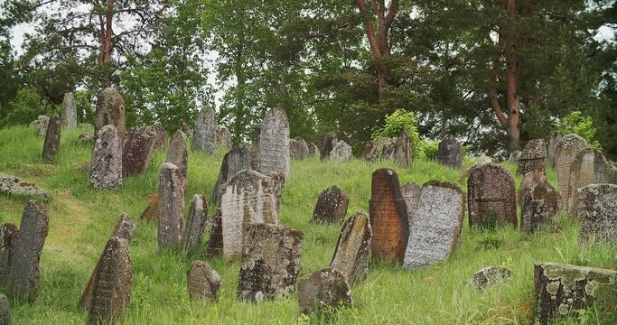 Old ancient Jewish cemetery in summer spring day. green grass and many ancient stones. Headstone Headstones Tombstones jewish grave,