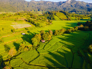 Terraced Rice Field in Chiangmai during the green rain season, Thailand. Royal Project Khun Pae Northern Thailand during sunrise