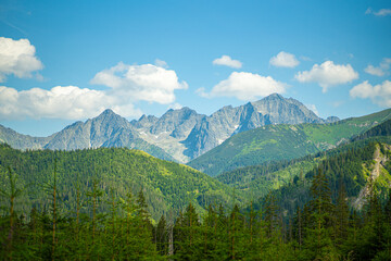 Scenic views from the heart of the Tatra Mountains, featuring the enchanting Polana Rusinowa, the picturesque Gęsia Szyja, and the breathtaking Hala Gąsienicowa. Explore the serene beauty. © Tomasz