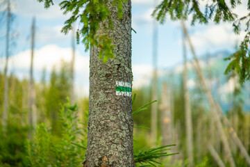Fototapeta premium Explore marked trails in the Tatra Mountains, through Rusinowa Glade, Goose Neck, and Gąsienicowa Hall. Discover lush meadows and stunning landscapes in the heart of Polish peaks.