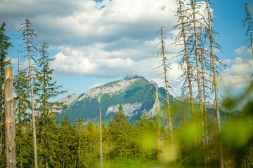 Scenic views from the heart of the Tatra Mountains, featuring the enchanting Polana Rusinowa, the picturesque Gęsia Szyja, and the breathtaking Hala Gąsienicowa. Explore the serene beauty. © Tomasz