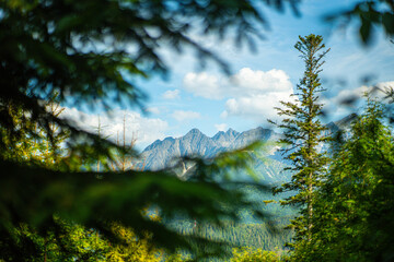 Scenic views from the heart of the Tatra Mountains, featuring the enchanting Polana Rusinowa, the picturesque Gęsia Szyja, and the breathtaking Hala Gąsienicowa. Explore the serene beauty. © Tomasz
