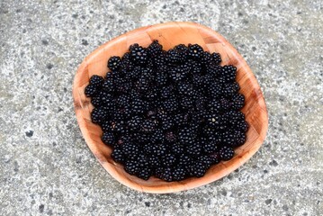 Freshly picked blackberries in a wooden bowl, UK, Europe - 659835084